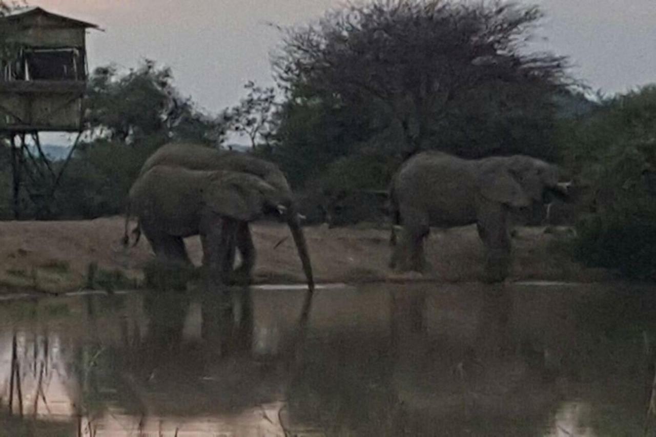Kubu Khaya Mabalingwe Villa Mabula Game Reserve Ngoại thất bức ảnh