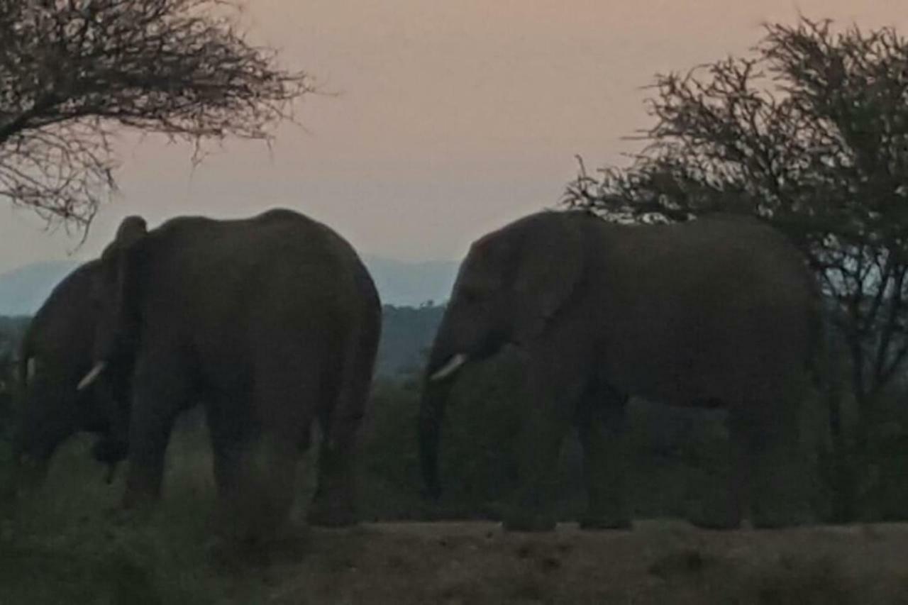 Kubu Khaya Mabalingwe Villa Mabula Game Reserve Ngoại thất bức ảnh